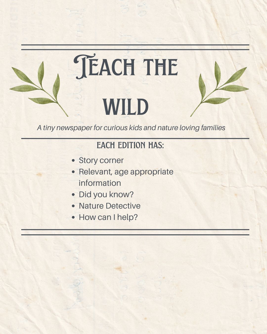 Teach the Wild - Edition 1: The Secret Colours of the Garden